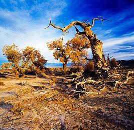 贸易游戏《Bootleg Steamer》公布 走私酒牟取暴利