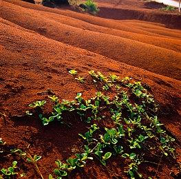 《心灵杀手2》开发预算超支 是因为追求创意突破